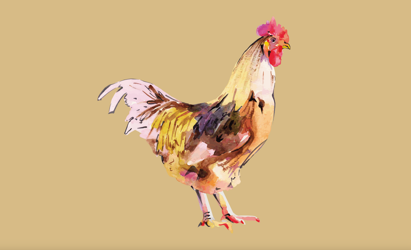 Hahnflagge 17, Hühnerflagge, Huhn, Tierflagge