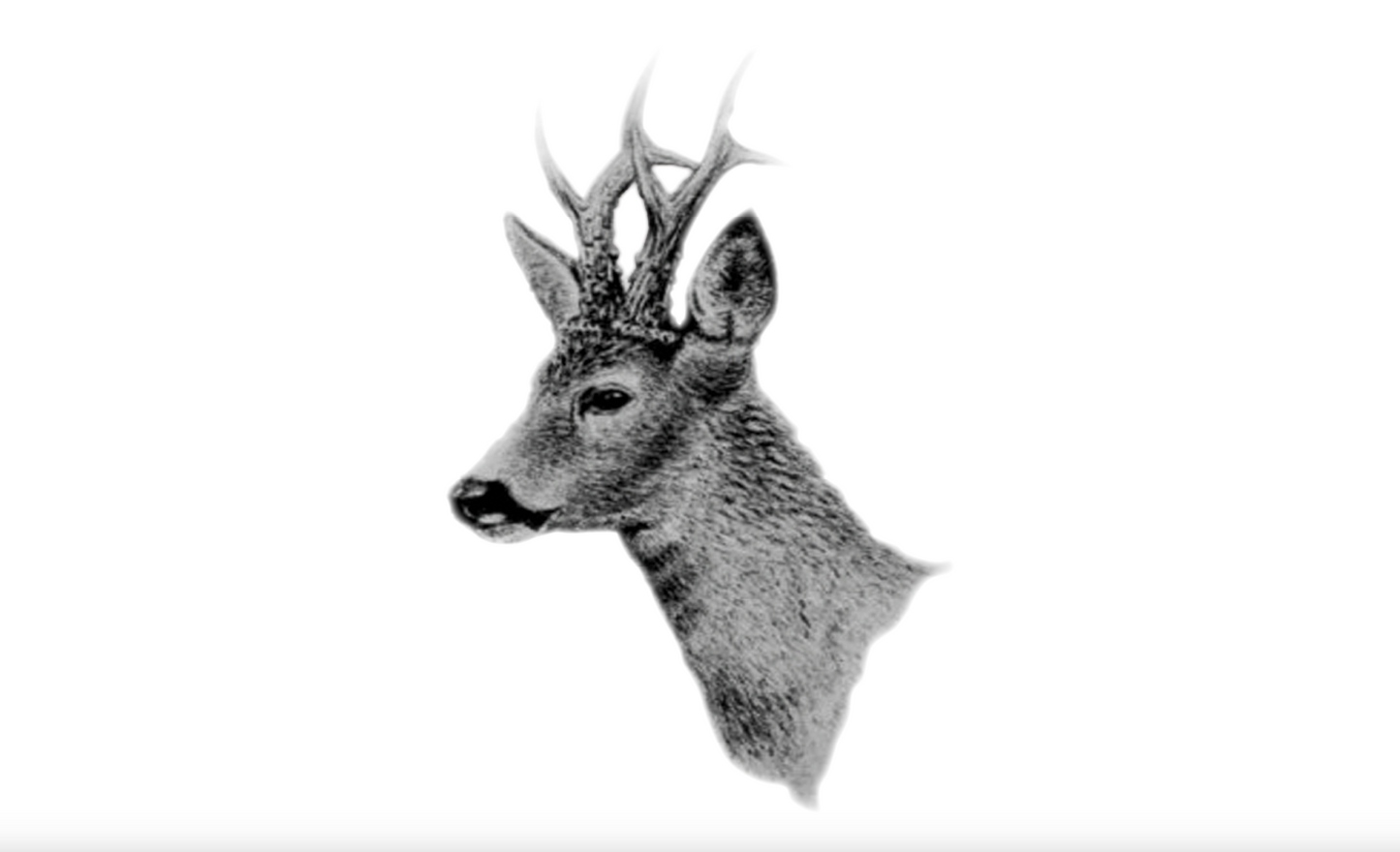 Roe deer black, hunter's flag, hunting, game flag, oak leaves, forester's flag, hunting rifle, hunting