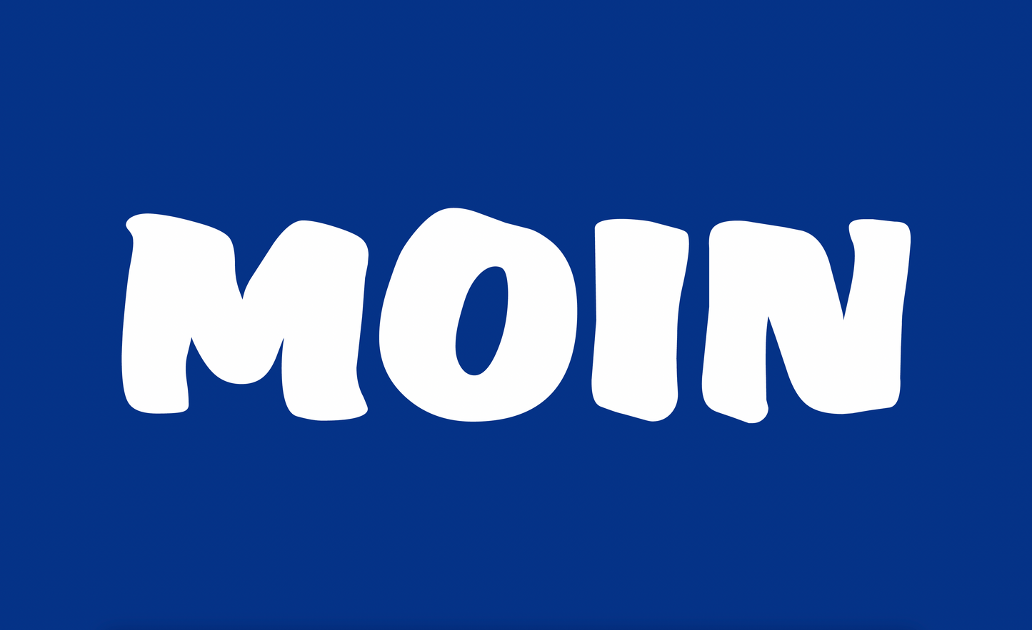 MOIN Flagge – Norddeutscher Gruß als Flagge | Wetterfest & Waschbar | Maritimes Statement & Deko