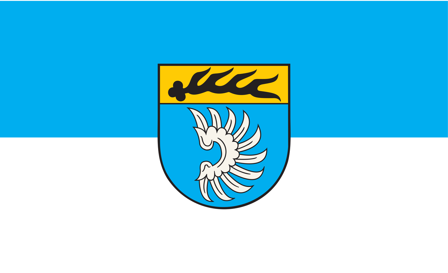 Bitz Flag of Baden-Württemberg