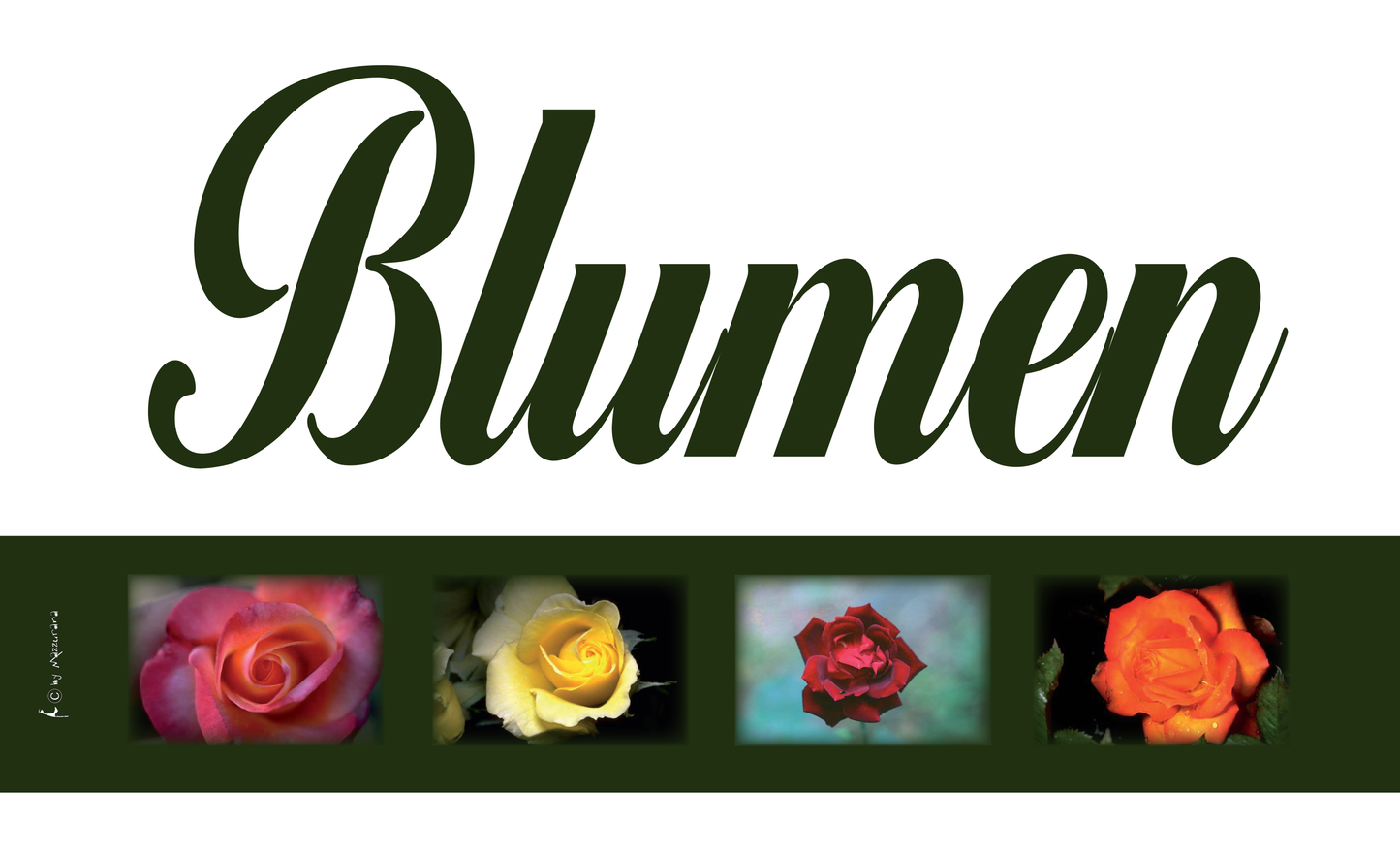 Blumen-Flagge, Verkauf, Marketing,Werbeflagge 5