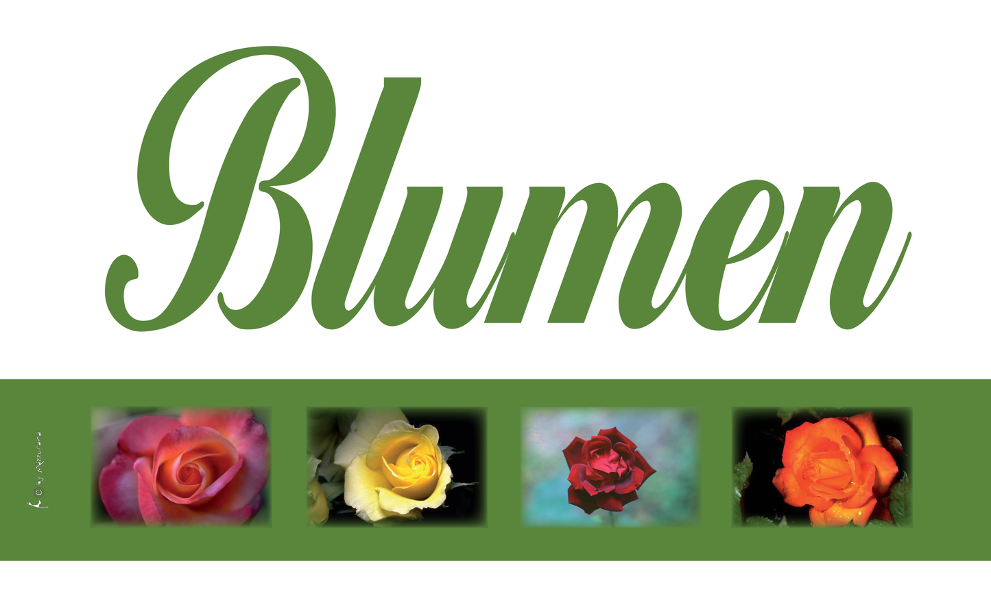 Blumen-Flagge, Verkauf, Marketing, Werbeflagge 3