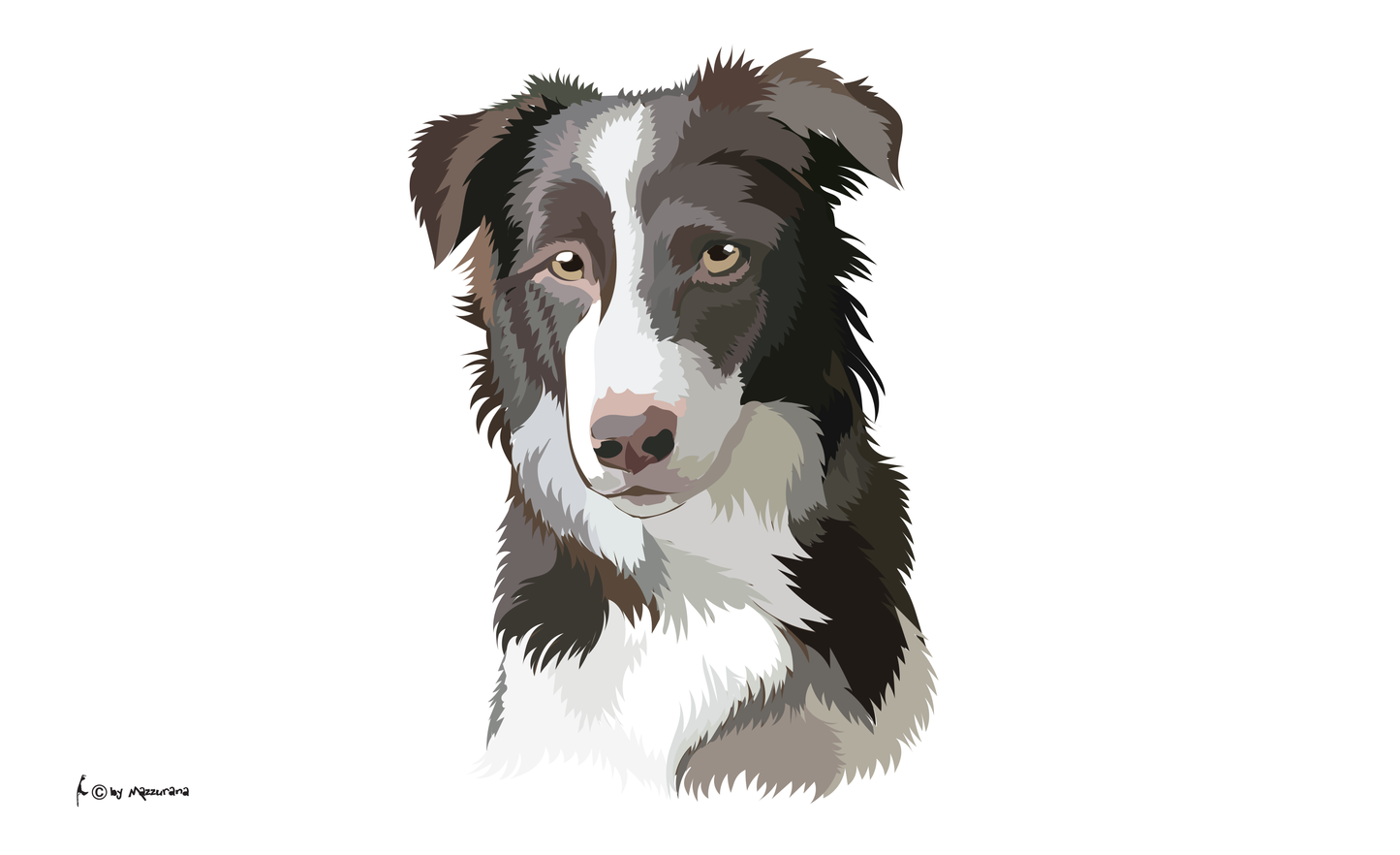 Border Collie flag, dog flag, animal flags, sports flags, club flags, association flags