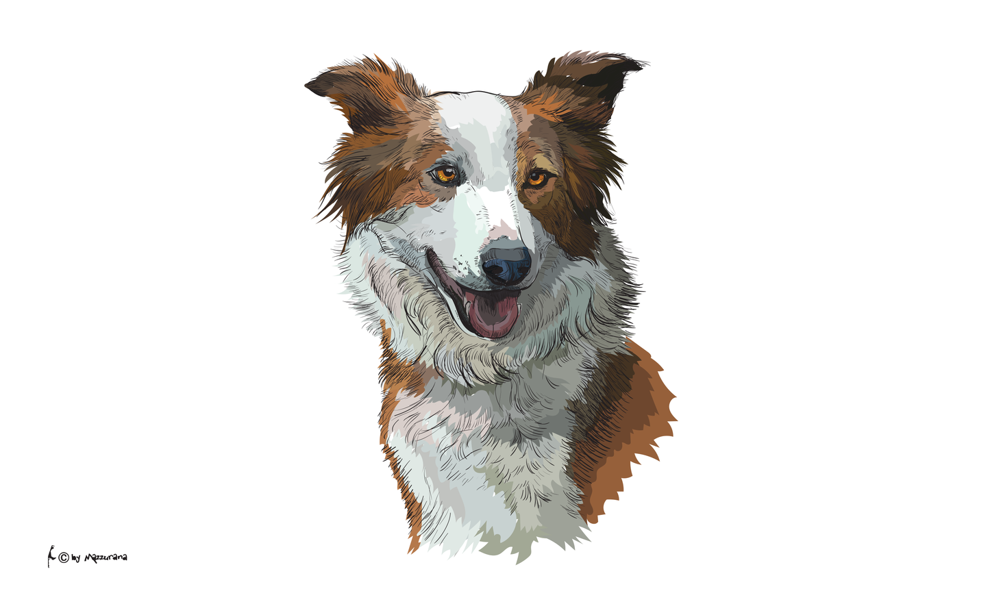 Border Collie 2 flag, dog flag, animal flags, sports flags, club flags, association flags