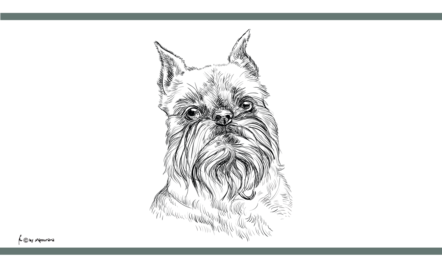 Brussels Griffon SW flag, dog flag, animal flags, sports flags, club flags, association flags