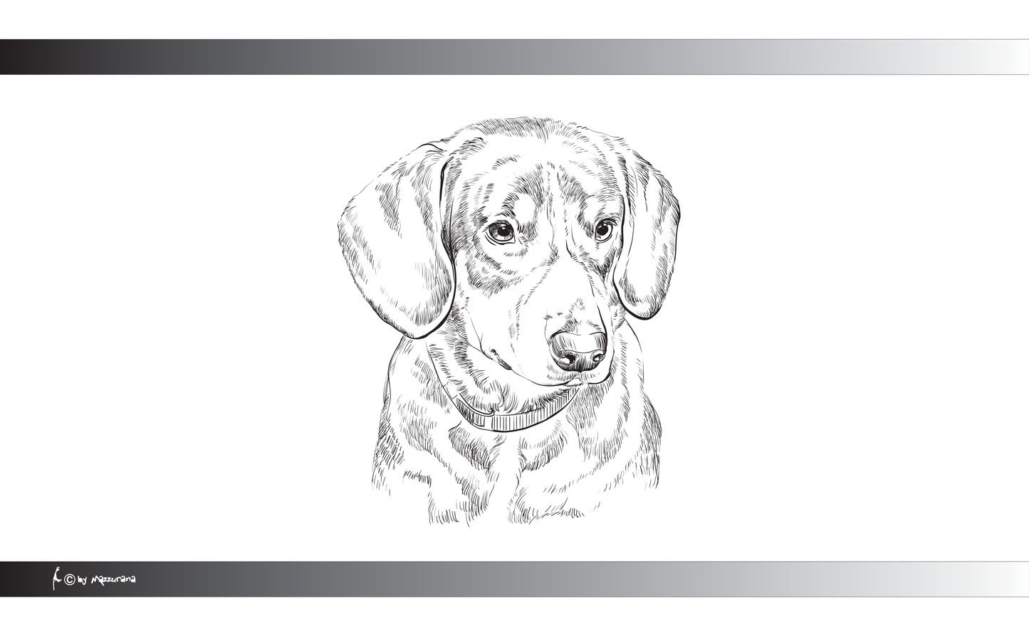 Dackel Porträt SW Flagge, Hundeflagge ,Tierflaggen, Sportflaggen, Vereinsfahnen, Verbandsflaggen