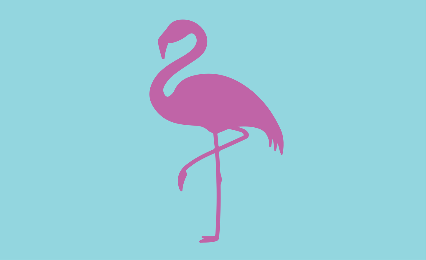 Flamingo Flagge, Tierflaggen