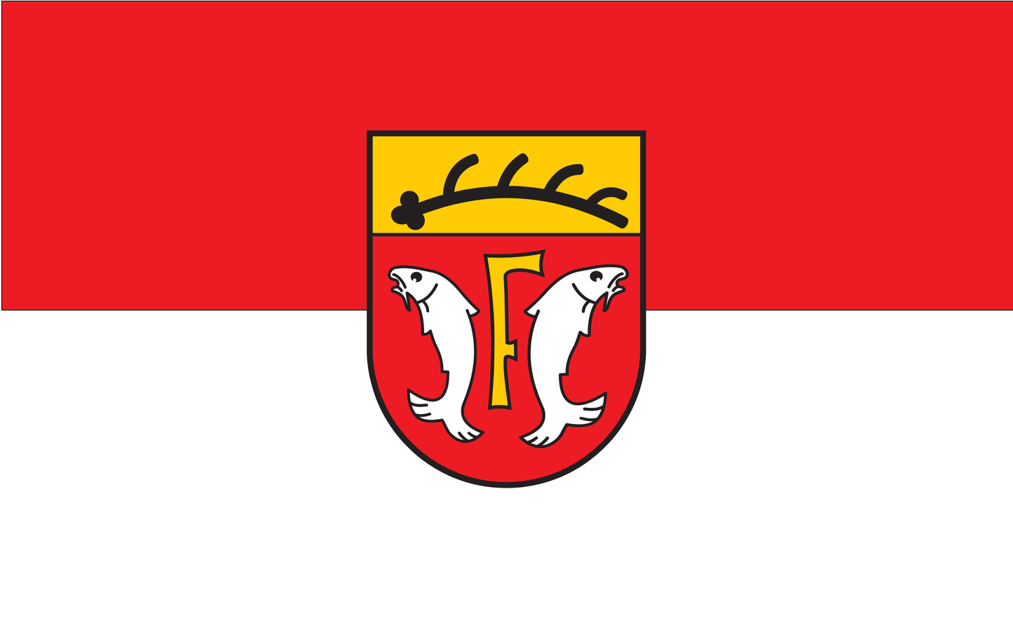 Freudenstadt Flagge Baden Württemberg