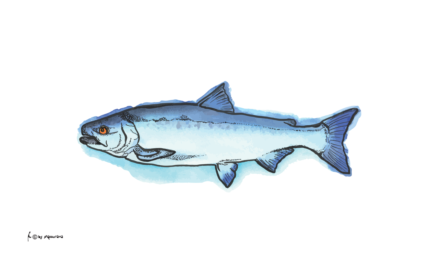 Lachs Flagge, Fische, Fischflaggen