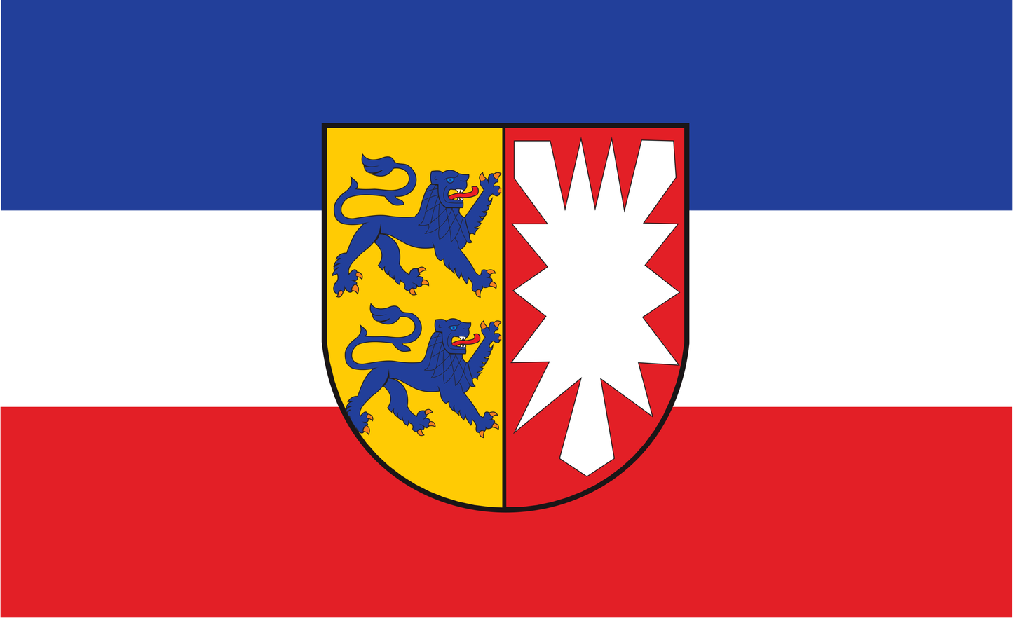 Schleswig-Holstein Flagge mit Wappen – Tradition & Verbundenheit im Norden