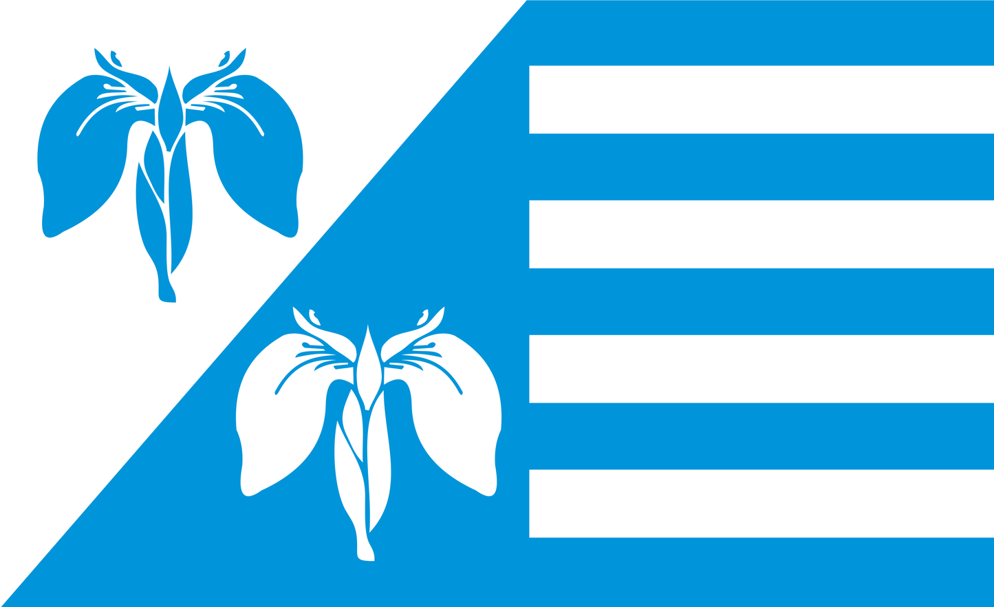 Troendel Flagge, Schleswig-Holstein