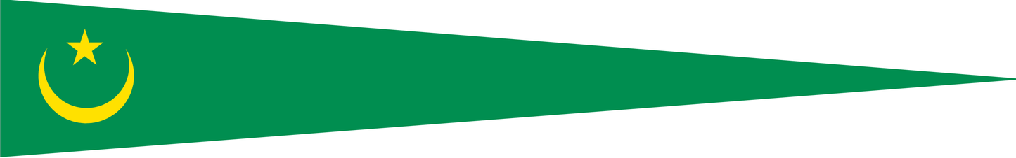 Mauretanien Wimpel – Nationalflaggen-Wimpel in Grün und Gelb