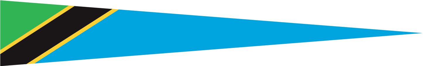 Tansania Wimpel – Länderwimpel in Grün, Gelb, Schwarz und Blau