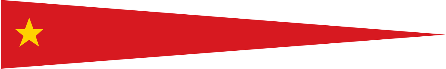 Vietnam Wimpel – Nationalflaggen-Wimpel in Rot und Gelb