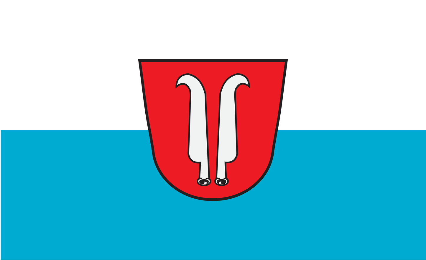 Altenerding Flagge Bayern