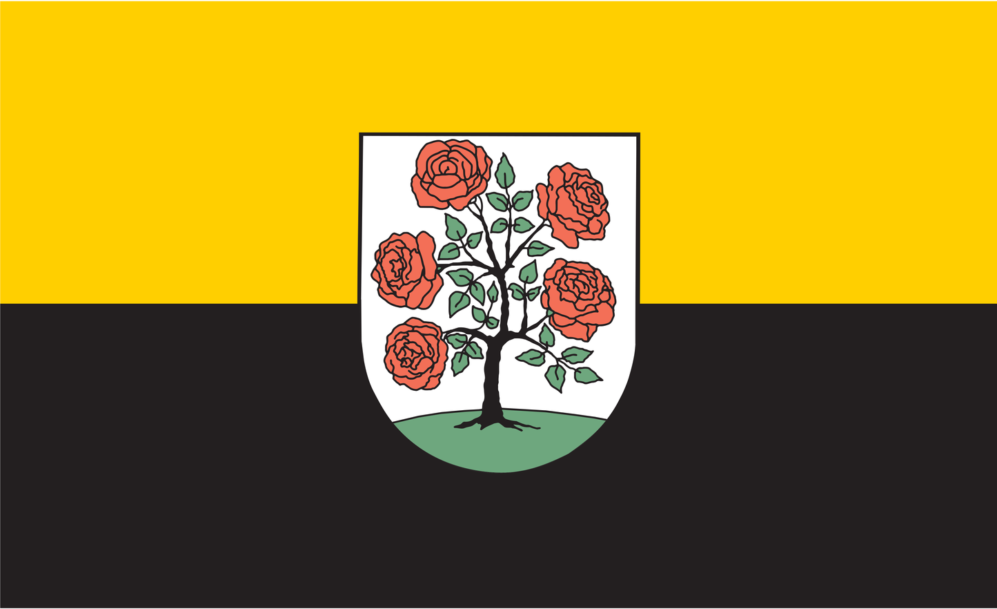 Annaburg Flagge, Sachsen