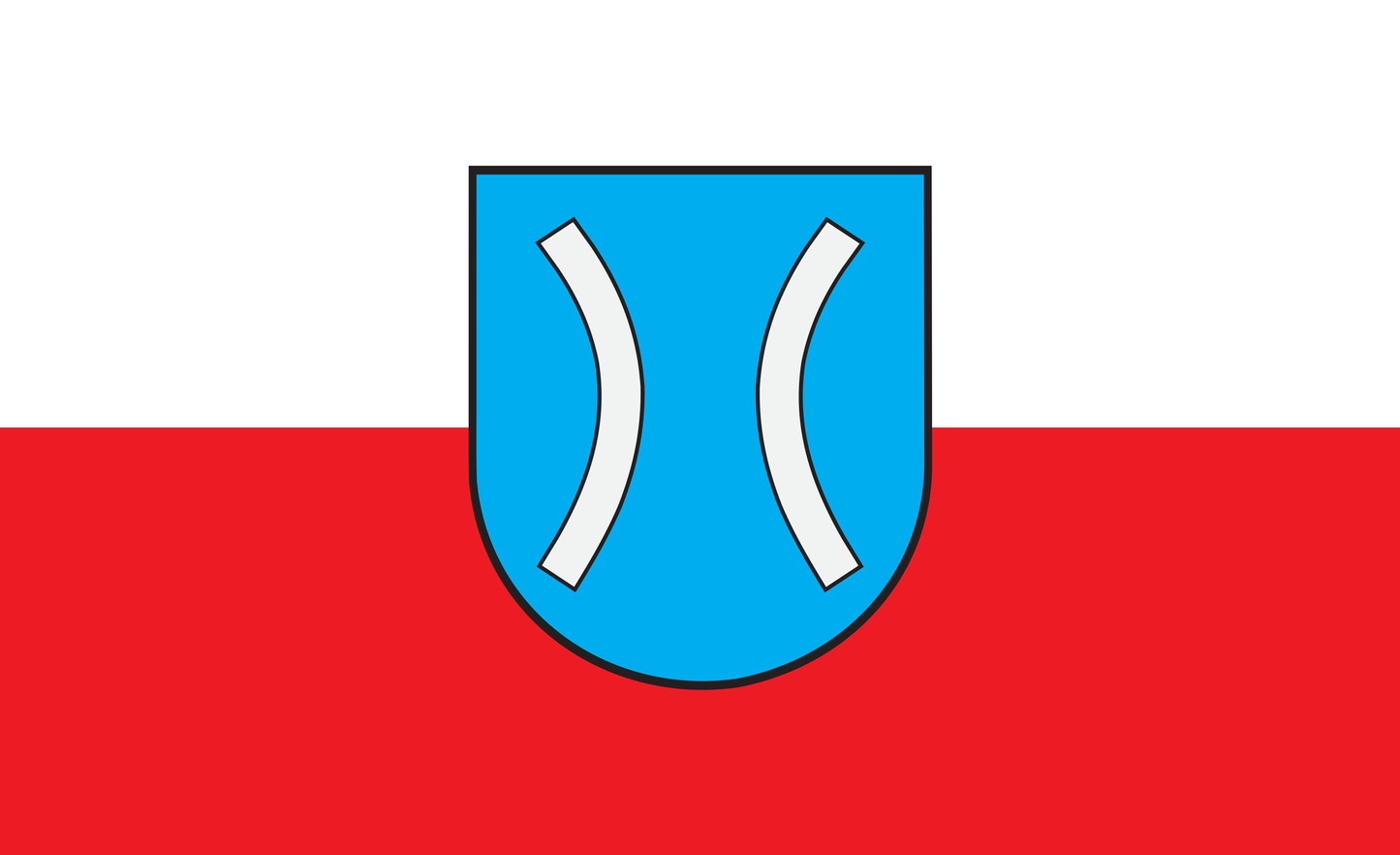 Artern Flagge, Thüringen