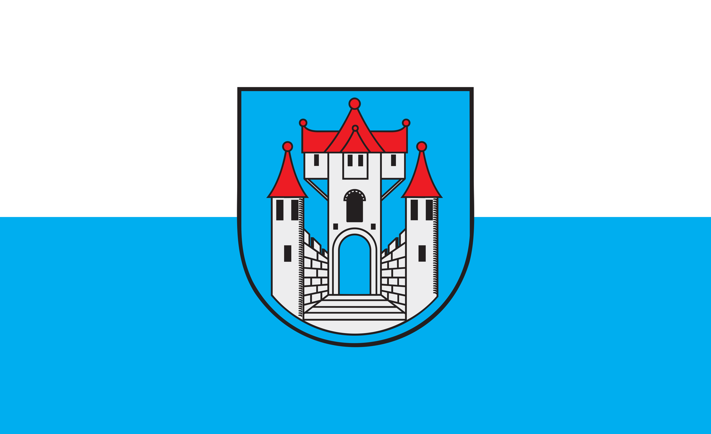Barby Flagge, Sachsen