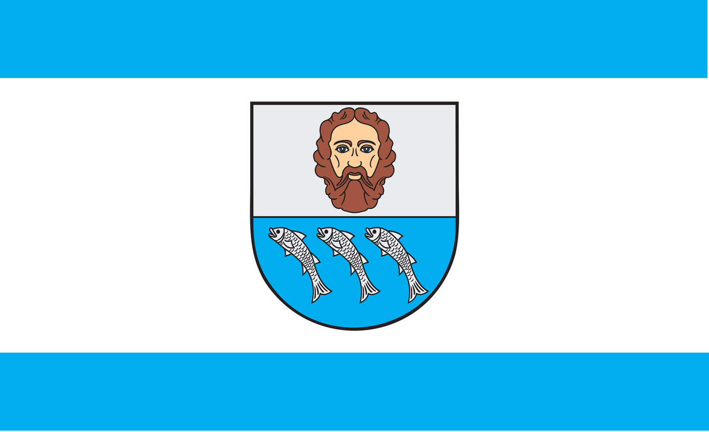 Barth Flagge, Mecklenburg Vorpommern