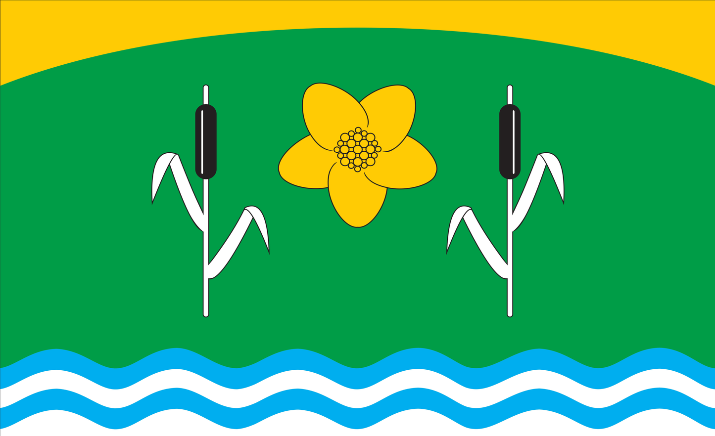 Bebensee Flagge, Schleswig-Holstein