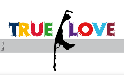 Drapeau de Sylt « True Love » – Une déclaration d’amour colorée pour l’île