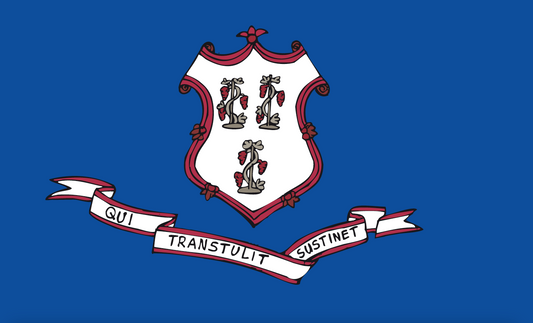 Connecticutflagge,USA, Nationalflaggen