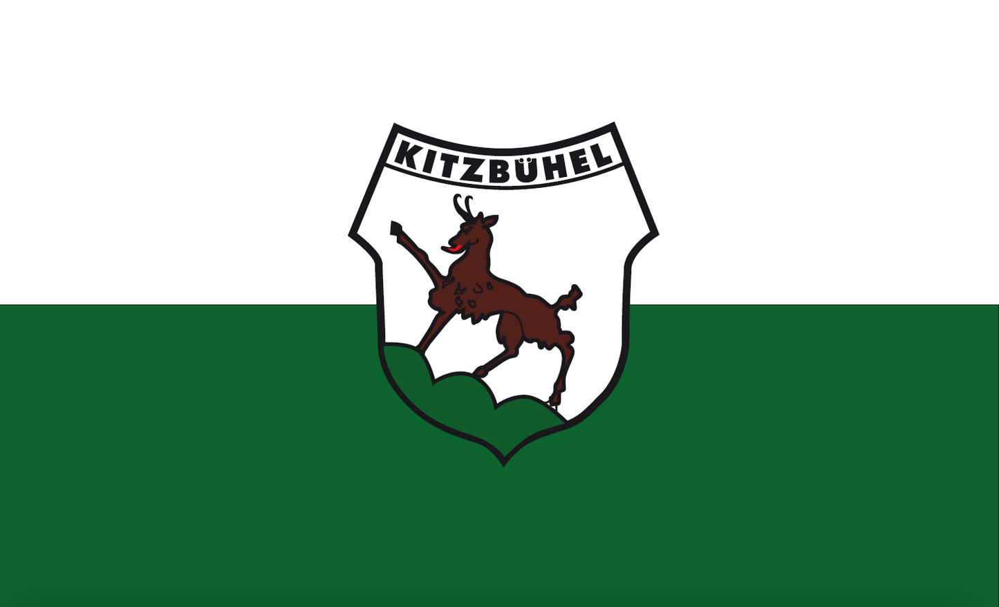 Kitzbühel Flagge, N, Österreich