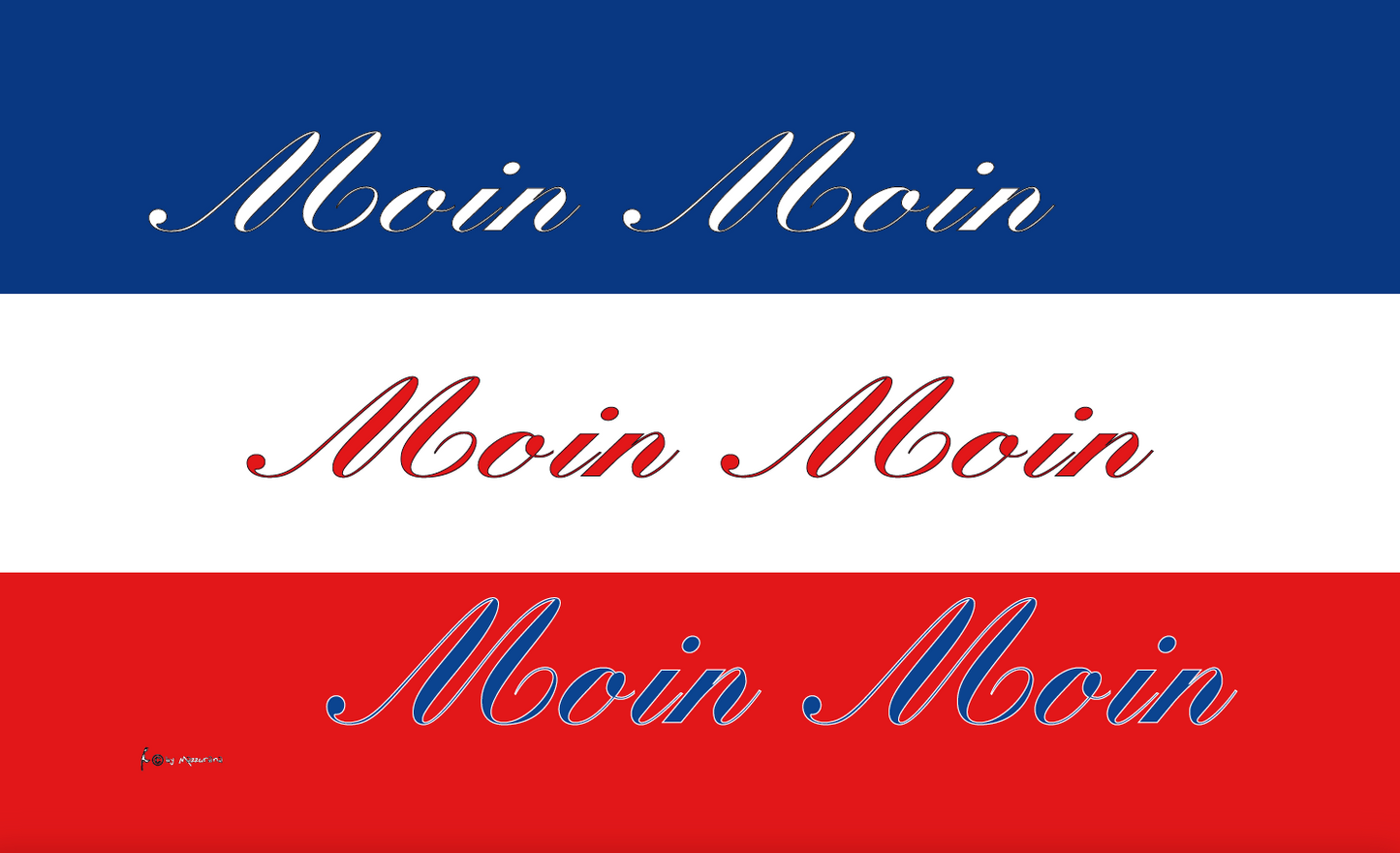 Moin Moin Flagge in Schleswig-Holstein Farben – Norddeutscher Charme für Zuhause & unterwegs