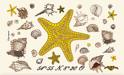 Drapeau étoile de mer – Décoration maritime avec coquillages et coordonnées