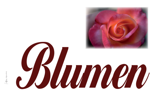 Blumen-Flagge, Verkauf, Marketing,Werbeflagge 4