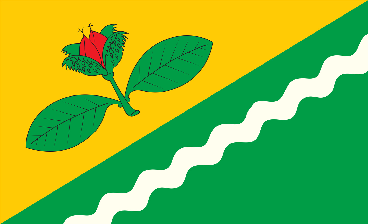 Bokelrehm Flagge, Schleswig-Holstein