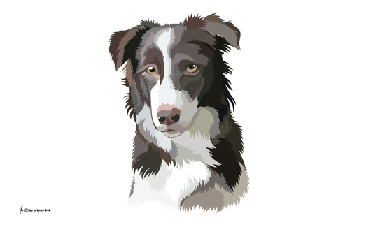 Border Collie Flagge, Hundeflagge ,Tierflaggen, Sportflaggen, Vereinsfahnen, Verbandsflaggen