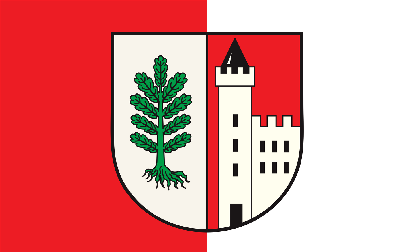 Breitenburg Flagge, Schleswig-Holsteinfahne