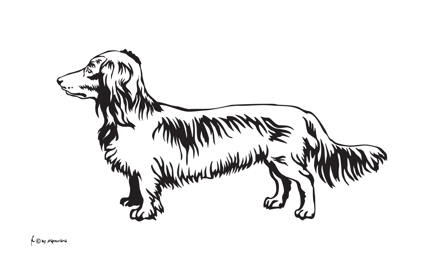 Dackel Langhaar SW Flagge, Hundeflagge ,Tierflaggen, Sportflaggen, Vereinsfahnen, Verbandsflaggen