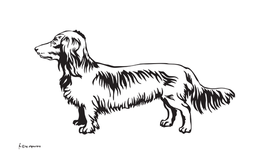 Dackel Langhaar SW Flagge, Hundeflagge ,Tierflaggen, Sportflaggen, Vereinsfahnen, Verbandsflaggen