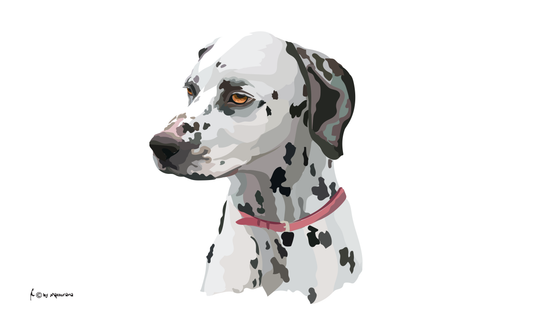 Dalmatiner Hund Flagge, Hundeflagge ,Tierflaggen, Sportflaggen, Vereinsfahnen, Verbandsflaggen