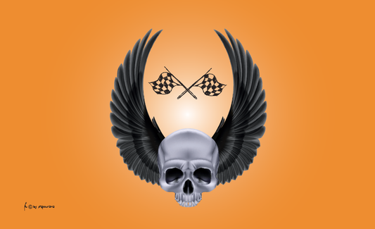 Fly-Skull Flagge, Motorradflagge, Motorrad, Bikerflagge