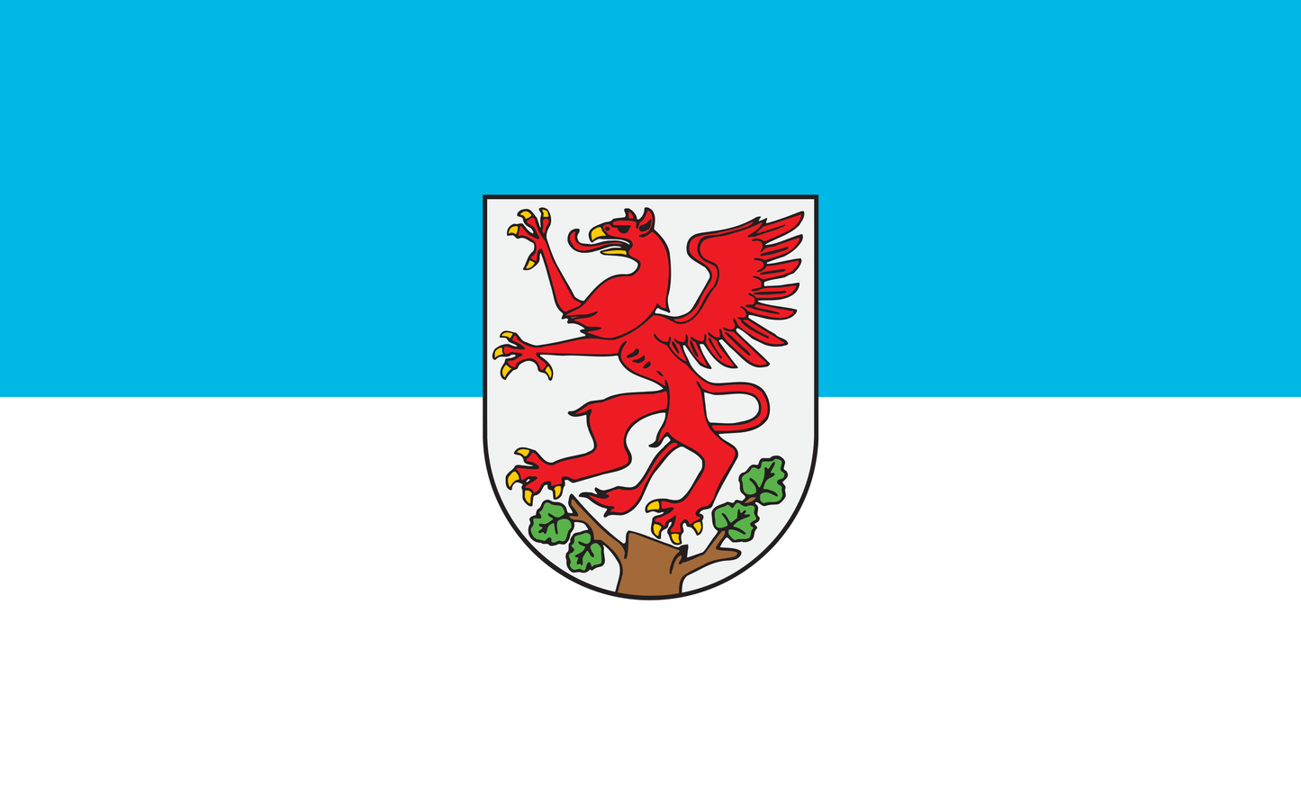 Greifswald Flagge, Mecklenburg Vorpommern