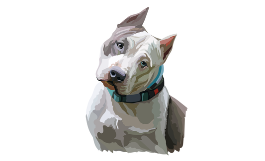 Hundeflagge 17, Hundeflagge ,Tierflaggen, Sportflaggen, Vereinsfahnen, Verbandsflaggen