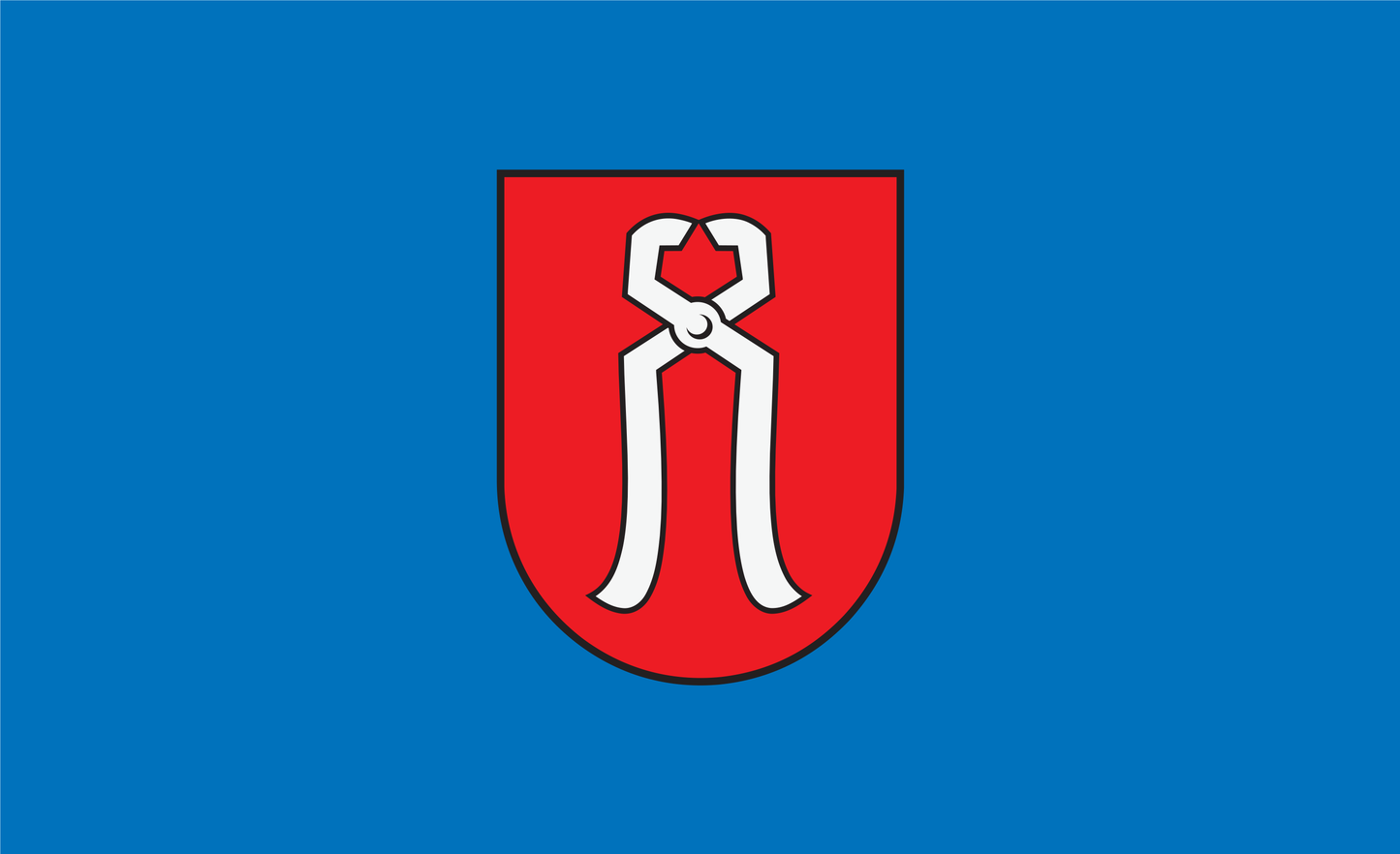 Kostheim Wiesbaden Flagge, Hessen