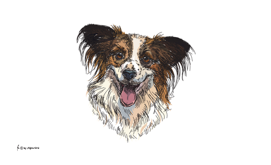 Papillon dog flag, animal flags, dogs