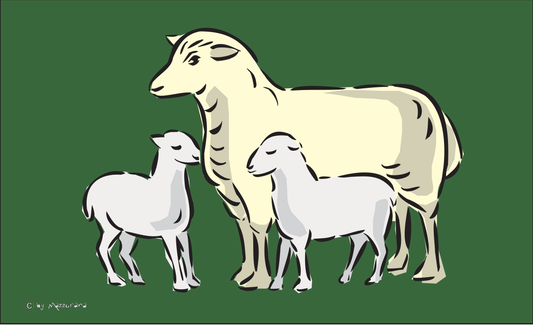 Schaf-Flagge,2,Schaf, Tierflaggen,Tierzüchter-Flaggen