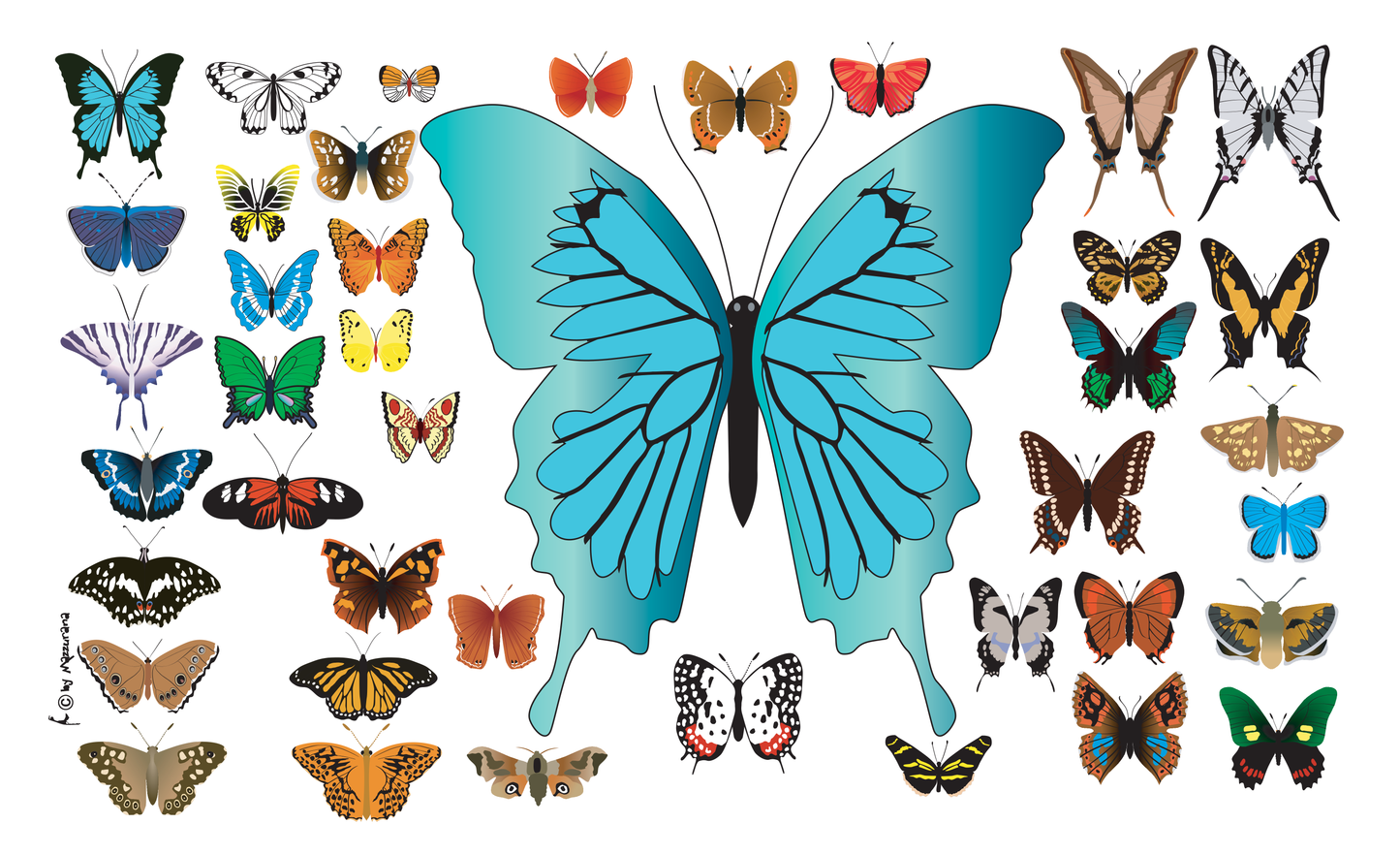 Butterfly 17 Flag, Butterfly, Animal Flags