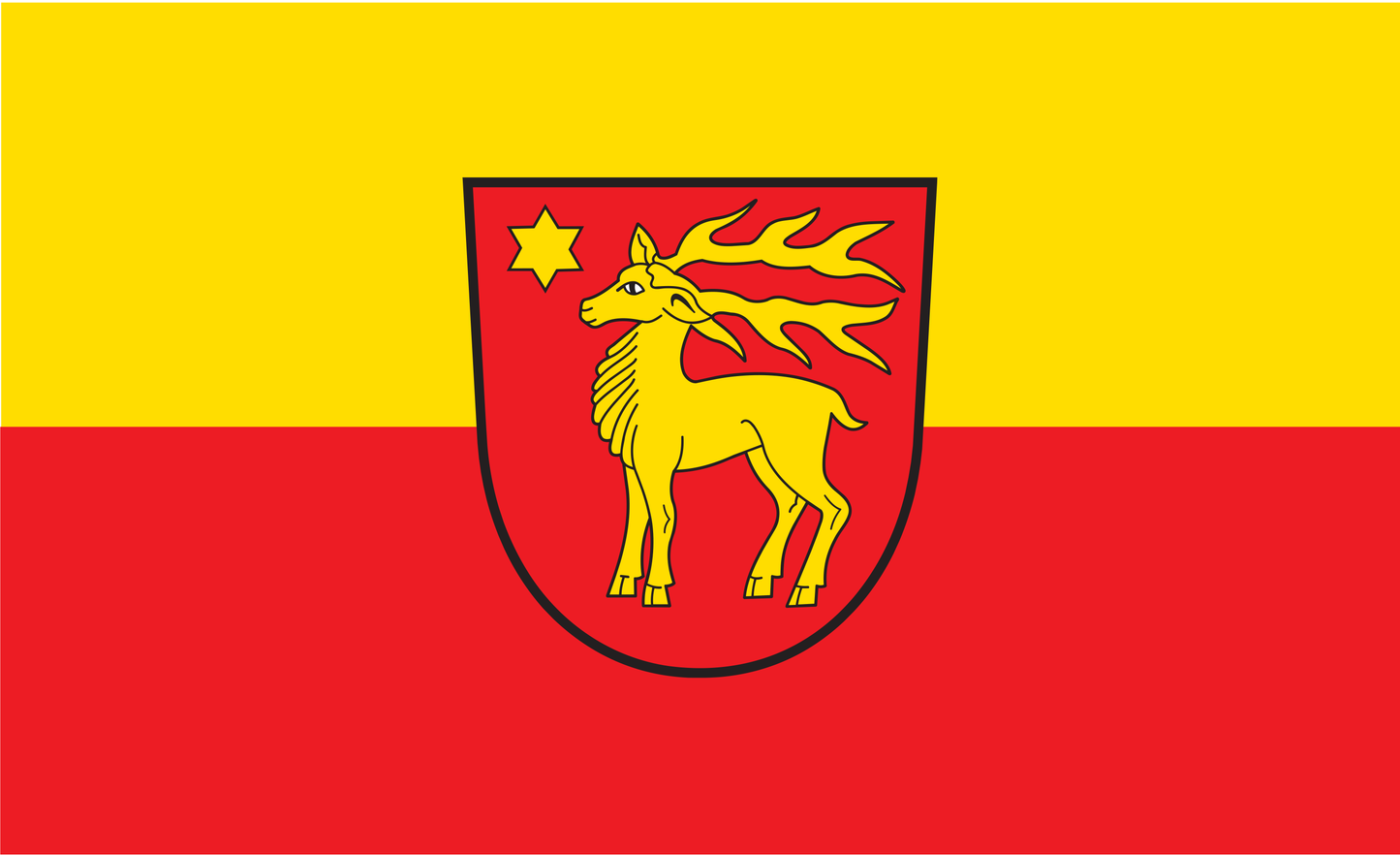 Sigmaringen Flagge Baden Württemberg