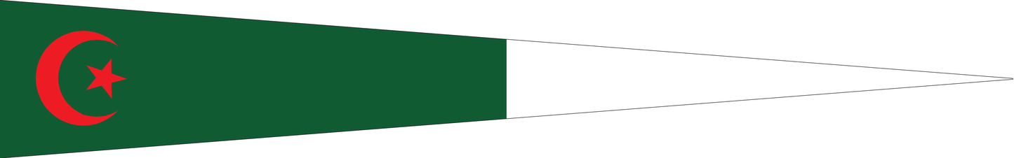 Algerien Wimpel – Länderwimpel in Grün, Weiß und Rot