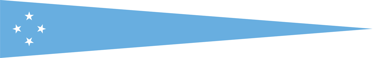 Mikronesien Wimpel – Nationalflaggen-Wimpel in Hellblau und Weiß