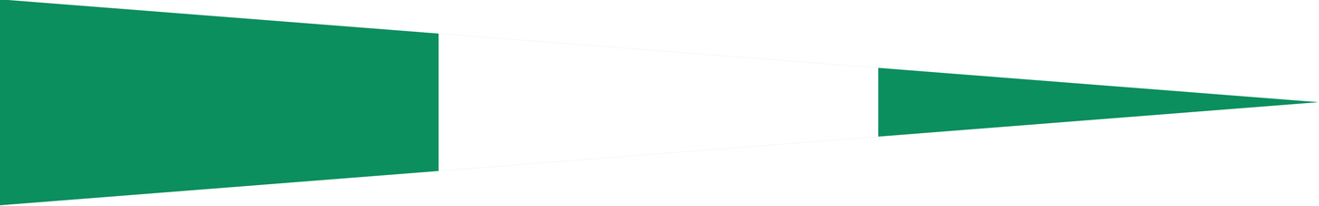 Nigeria Wimpel – Flaggenwimpel in Grün und Weiß