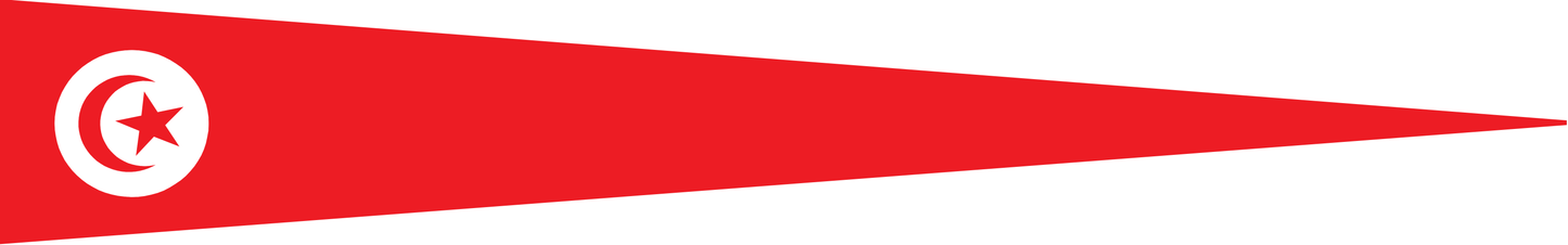 Tunesien Wimpel – Nationalflaggen-Wimpel in Rot und Weiß