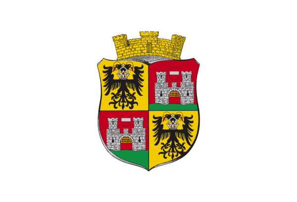 Wienerflagge Neustadt , Österreich, Wien, Nationalfahnen