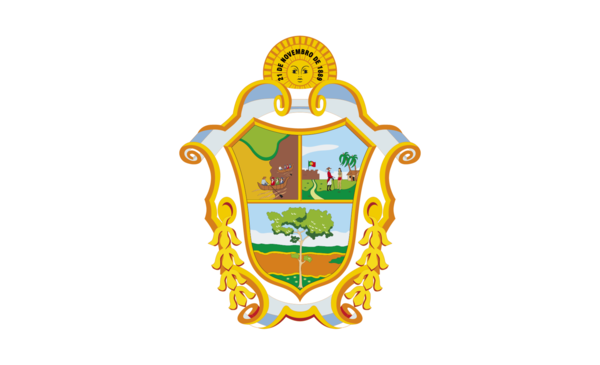 Manausflagge City Wappen, Manaus, Nationalfahnen